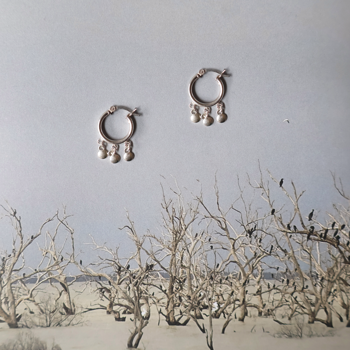 Bellbird Charm Hoops