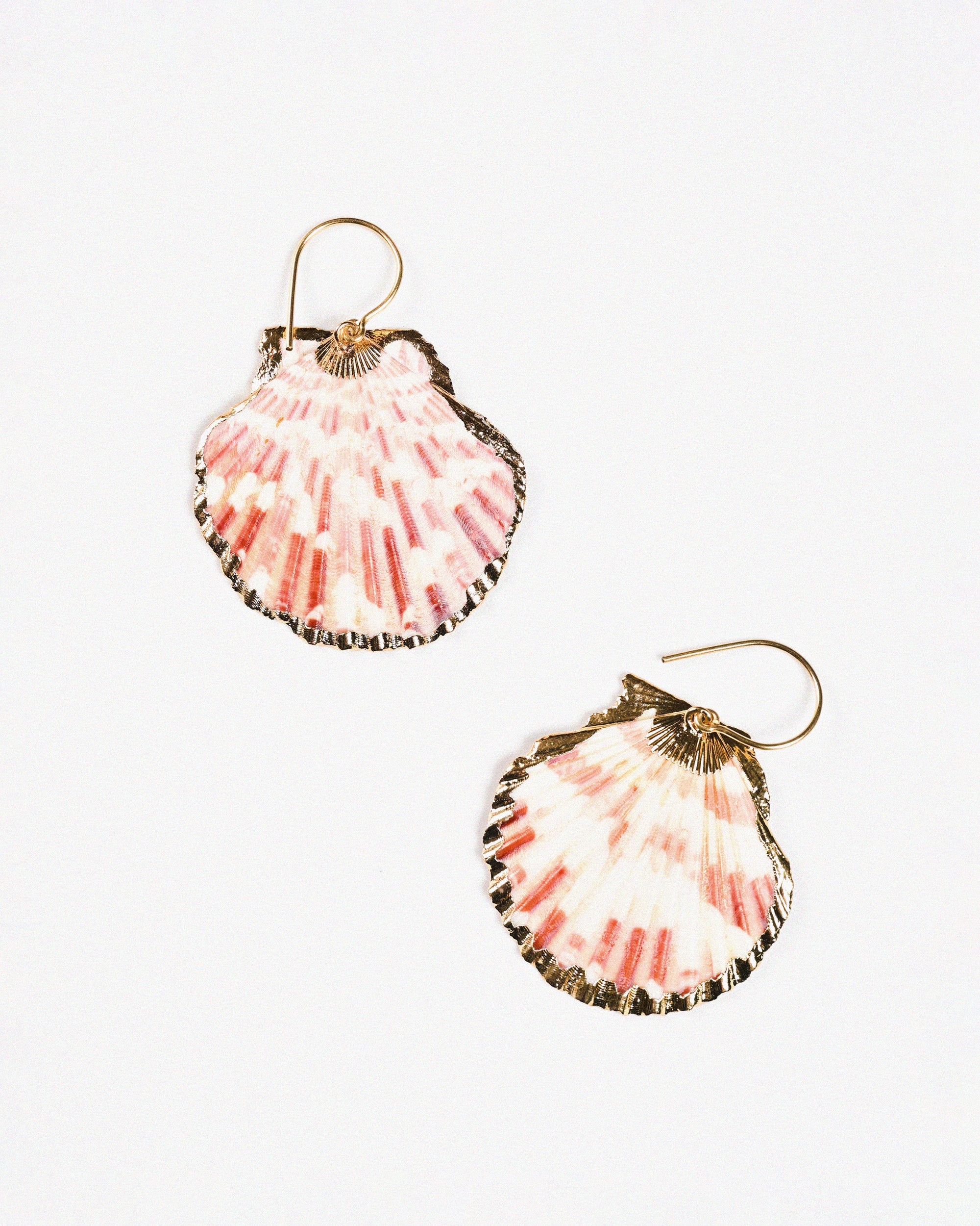 Sisi Shell Earrings