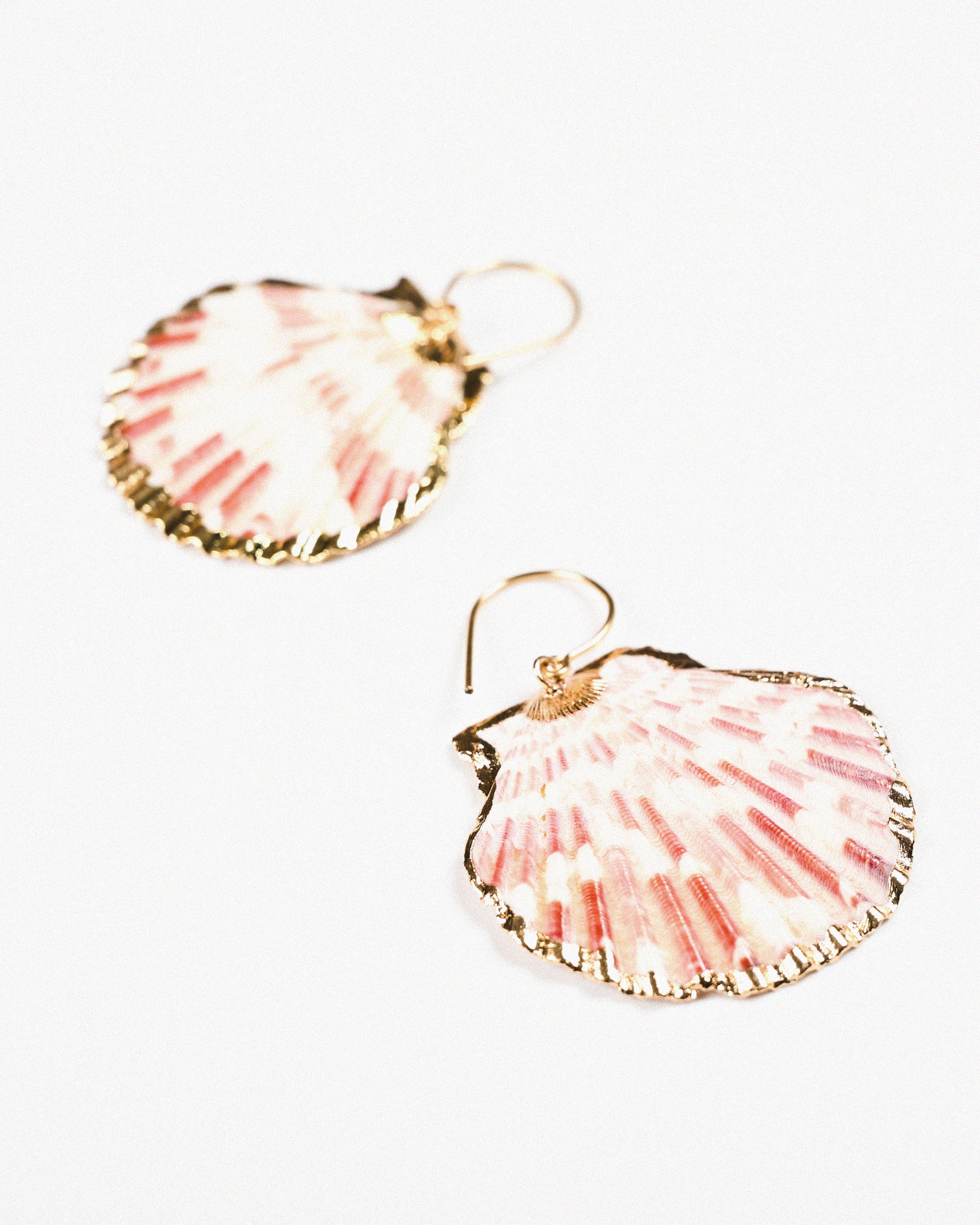 Sisi Shell Earrings